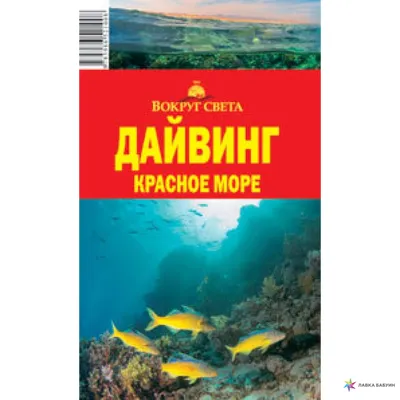 Красное море: потрясающие фотографии подводной жизни