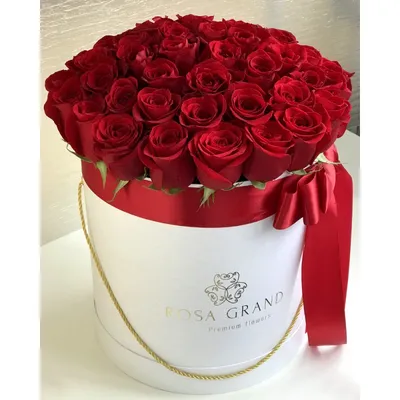 Красные розы: красивые изображения для скачивания в формате PNG