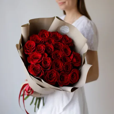Красные розы: фотографии в формате WebP для скачивания