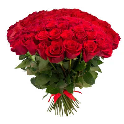 Красные розы: фото в высоком разрешении: скачать бесплатно