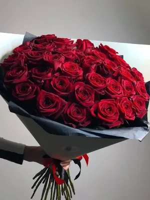 Красные розы: красивые картинки в Full HD качестве