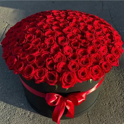 Красные розы: фото в 4K разрешении для скачивания