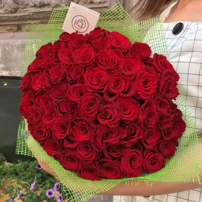 Красные розы: изображения в формате 4K для скачивания