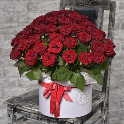 Красные розы: фотографии, которые передают всю их страстную красоту!