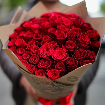 Красные розы: изумительные фотографии этого прекрасного цветка!