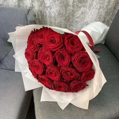 Красные розы: фотографии, которые заставят вас восхищаться их изысканной красотой!