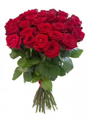 Красные розы: красивые картинки для скачивания