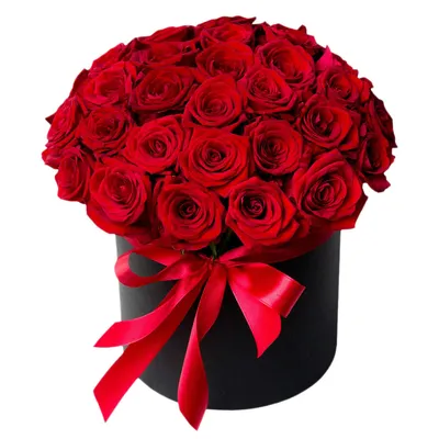 Красные розы: фотографии, которые заставят вас влюбиться в этот символ страсти!