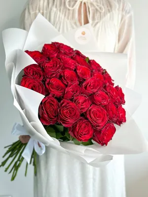 Красные розы: фотографии, которые наполнят вас чувством восторга и восхищения!