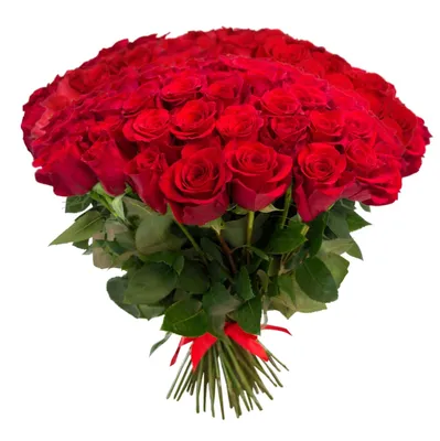 Красные розы: качественные изображения в формате JPG