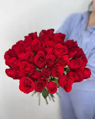 Красные розы: красивые изображения в формате png