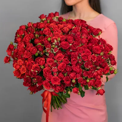 Красные розы: изображения высокого качества