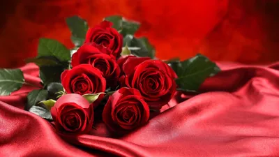 Красные розы: красивые картинки для скачивания в хорошем качестве