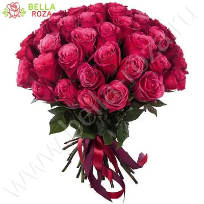 Фотография красных роз сорта - категория Розы