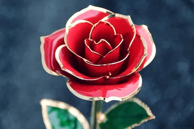 Красный цветок - красивая картинка для скачивания в WebP