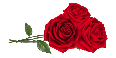 Фото красного цветка, которое вызывает восхищение