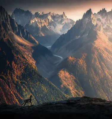 Фотографии гор в HD качестве: детали, оживляющие панораму