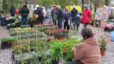 Весенняя сказка: фотографии, которые переносят в другой мир