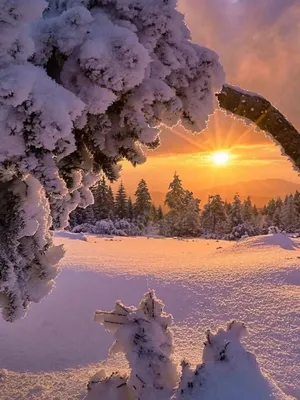 Фото зимнего волшебства: Красота зимы в каждом пикселе
