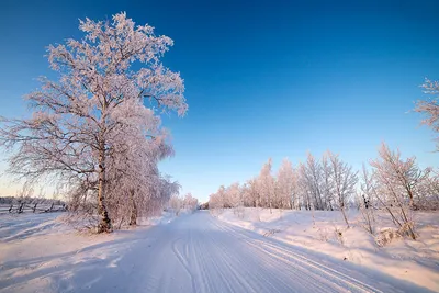 Зимний пастель: Фотографии мягких оттенков зимнего неба