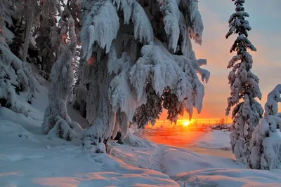 Красота зимы фотографии