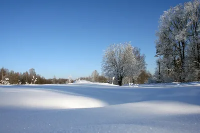 Зимние шедевры: Фото красивых зимних пейзажей