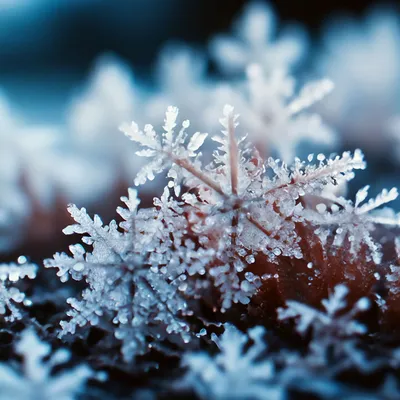 Зимний фотоколлаж: Изображения зимней сказки в формате WebP