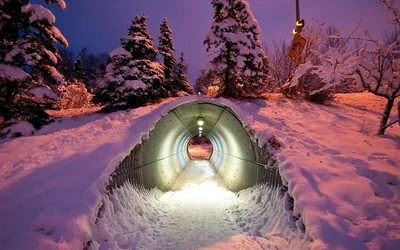 Снежные шедевры: Креативные фотографии зимы