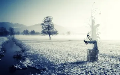 Волшебство зимнего света: Фотоальбом с вариациями