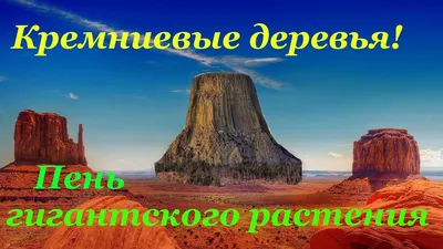 Изображение кремниевых деревьев: великолепие природы