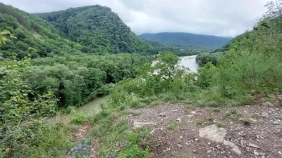 Фотка кремниевых деревьев: уникальное природное явление