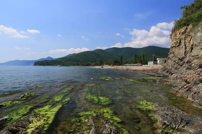 Фото пляжа Криница для бесплатного скачивания