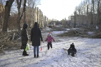 Картинка с деревьями в арт стиле