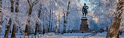 Фотографии зимы в Кронштадте: Выберите размер и формат