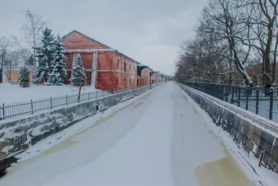 Зимняя красота: Кронштадт в фотографиях