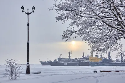Картинка зимнего Кронштадта: Погружение в снежные пейзажи