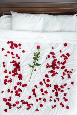 Удивительная кровать с лепестками роз: фото в формате png