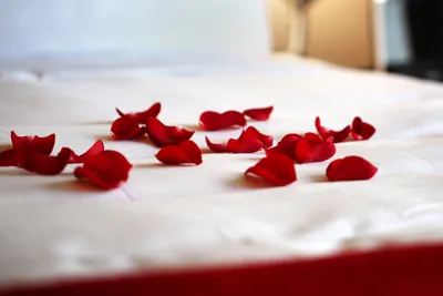 Уютная кровать с лепестками роз: фото, чтобы отдохнуть глазам