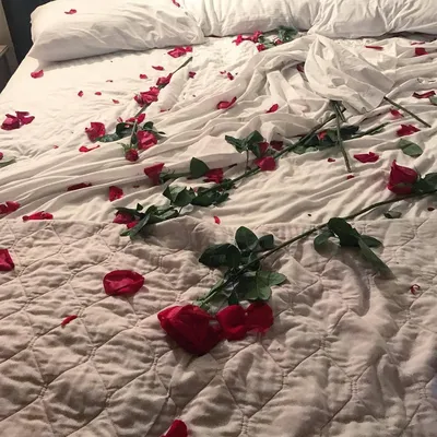 Кровать с лепестками роз: лучшая картинка для скачивания