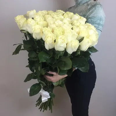 Фотография крупной розы в png формате