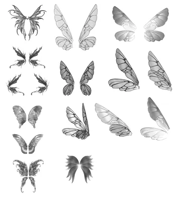 Изображение бабочьих крыльев в формате JPG
