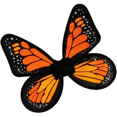 Крылья бабочки - фото для скачивания