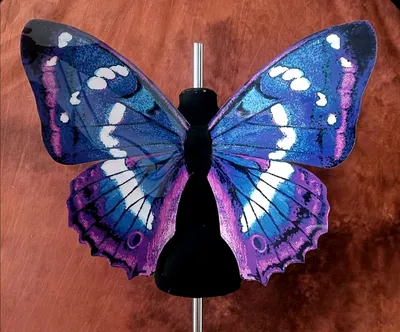 Бабочки Крылья - картинка в формате PNG