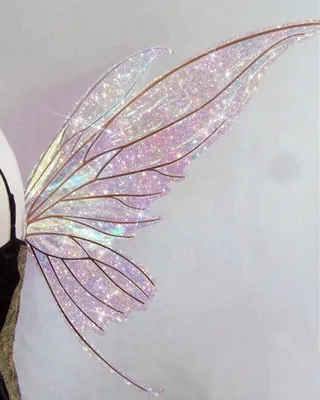 Фотография бабочки - крылья