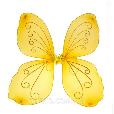 Бабочьи крылья - фото в формате JPG