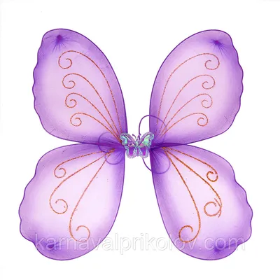 Фотка бабочки с крыльями для скачивания