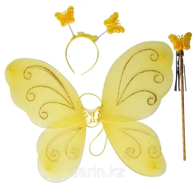 Крылья бабочки на фотографии