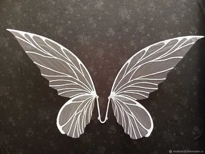 Крылья бабочки - фото в формате WebP