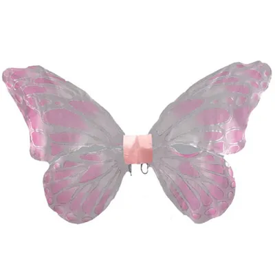 Изображение бабочки с крыльями в формате JPG