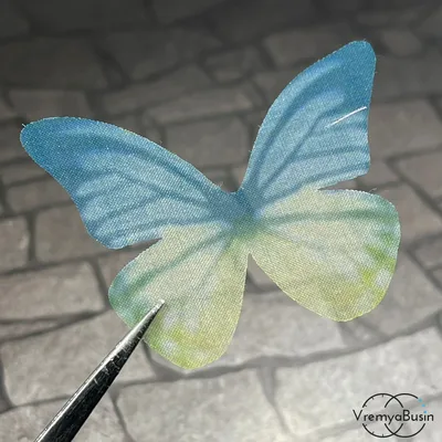 Картинка крыльев бабочки для скачивания